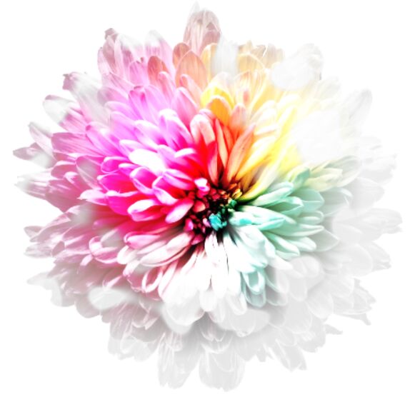 WebGL Wavy Image Hover Reveal